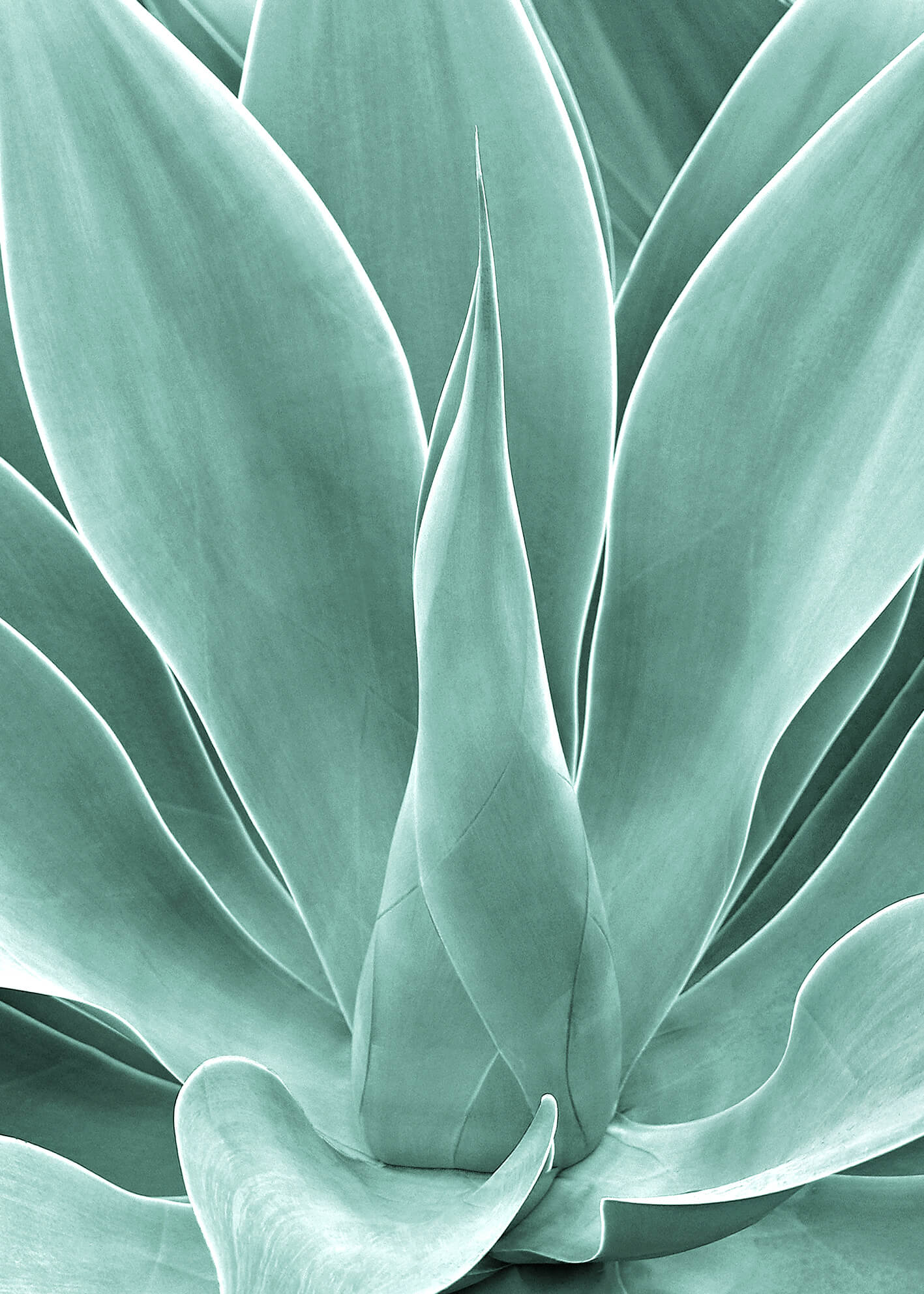Ljuddämpande tavla - Agave