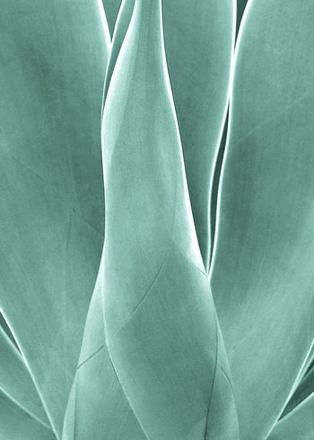 Ljuddämpande tavla - Agave