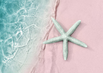 Ljuddämpande tavla  - Turquoise starfish