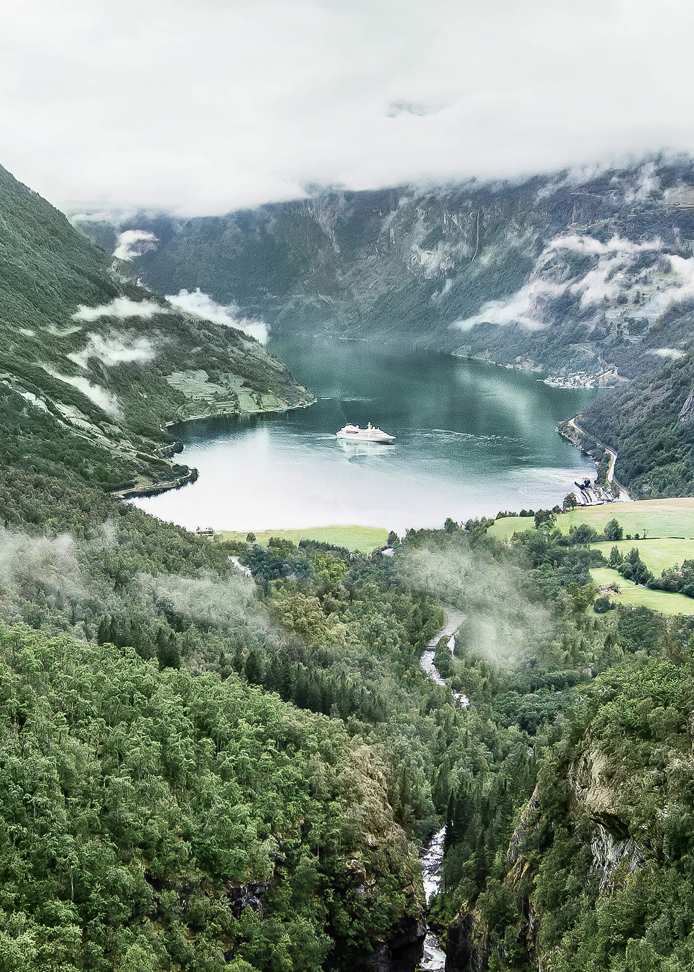Ljuddämpande tavla - Forest views