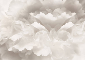 Ljuddämpande tavla - Peony Magda