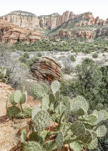 Ljuddämpande tavla - The Red Canyon