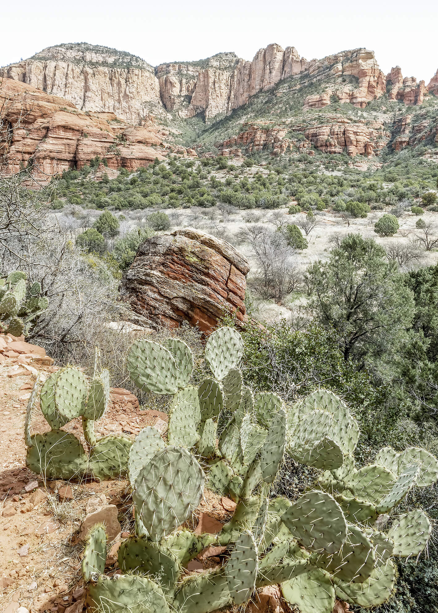Ljuddämpande tavla - The Red Canyon