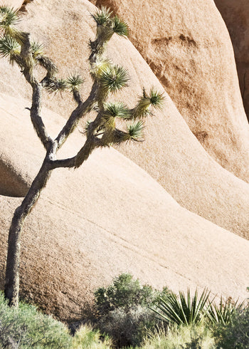 Ljuddämpande tavla - Desert Rocks