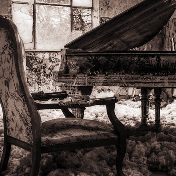 Ljuddämpande tavla - Grand Piano