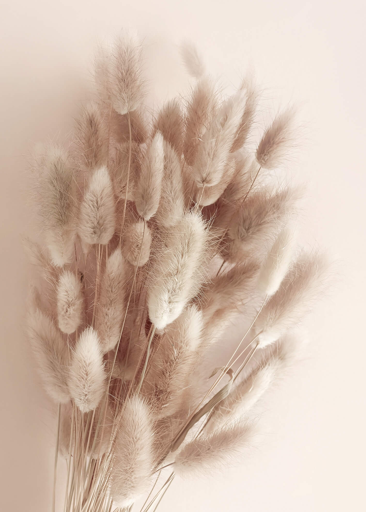 Ljuddämpande tavla - Soft Pampas No1
