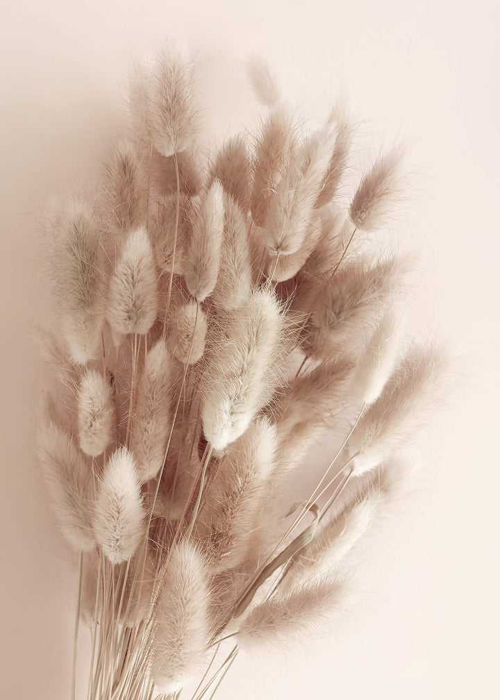 Ljuddämpande tavla - Soft Pampas No1