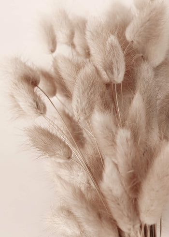 Ljuddämpande tavla - Soft Pampas No2