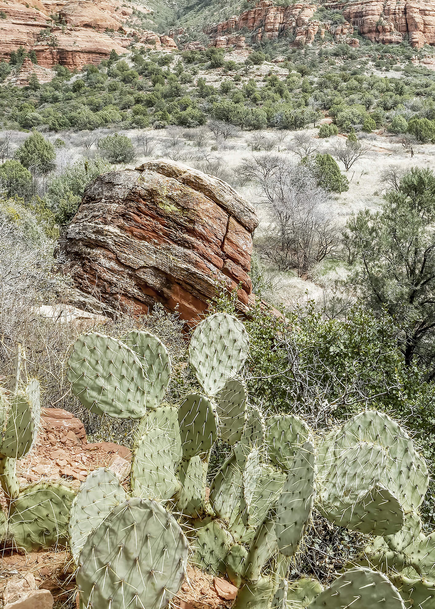 Canvastavla - The Red Canyon