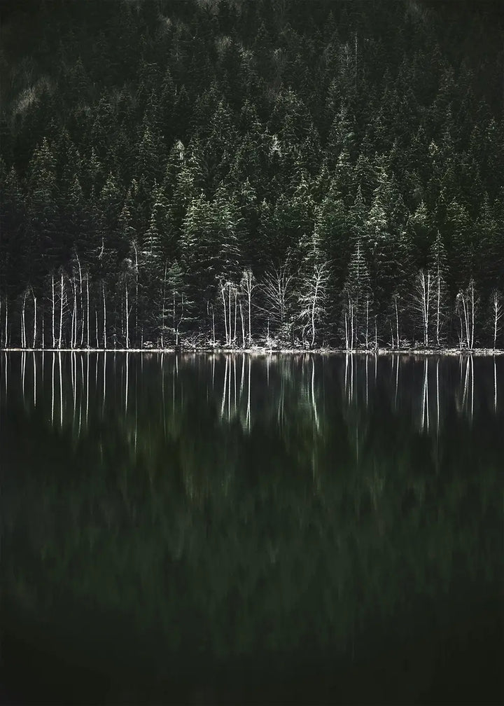 Poster - Moody Forest