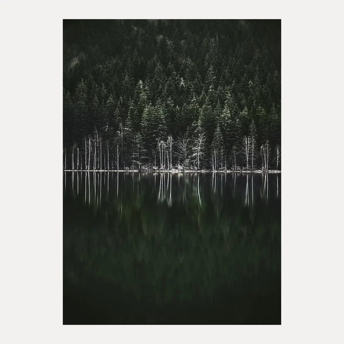 Poster - Moody Forest