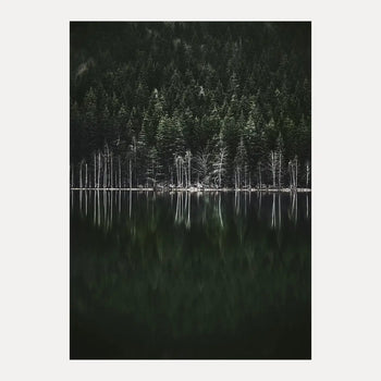 Poster - Moody Forest