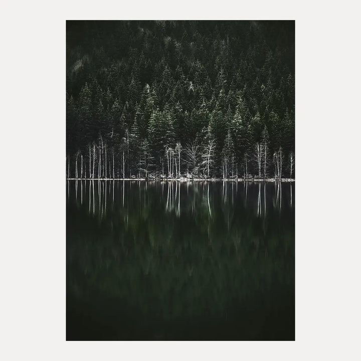 Poster - Moody Forest