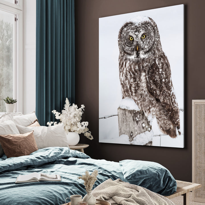 Canvastavla - Brown Owl