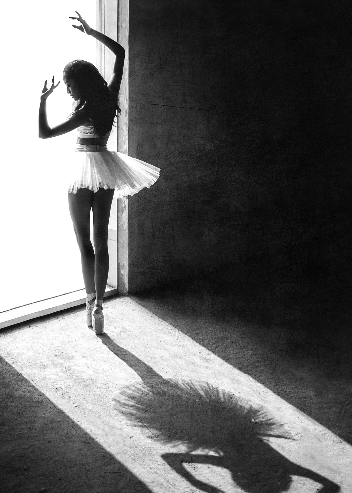Ljuddämpande tavla - Shadow of Ballerina