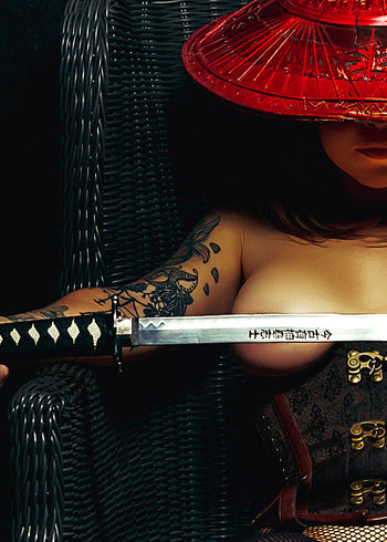 Ljuddämpande tavla - The Samurai