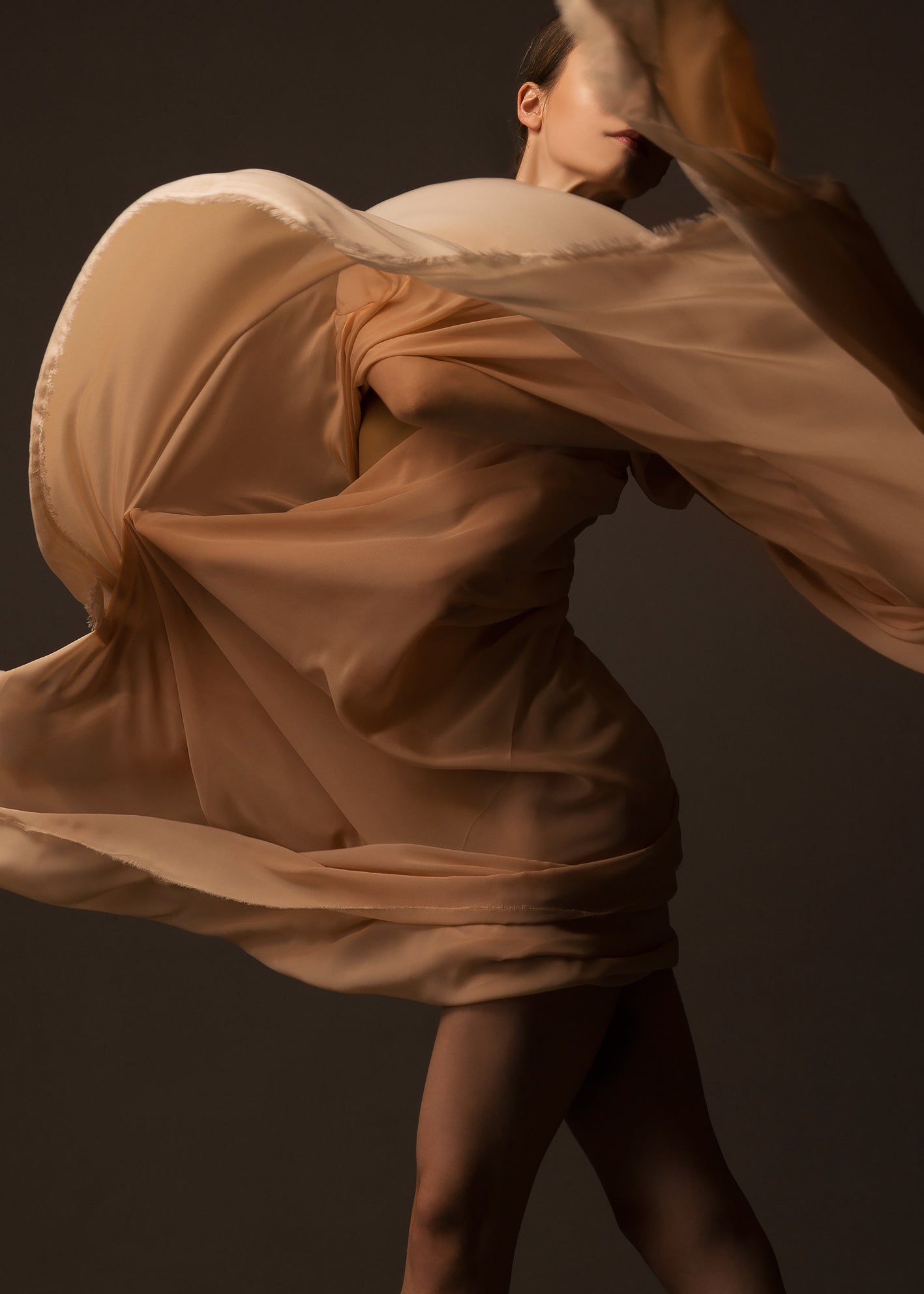 Ljuddämpande tavla - Serene Dancer