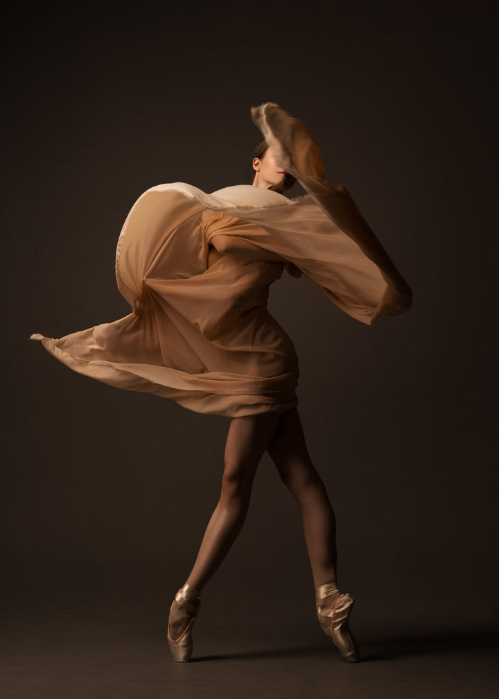 Ljuddämpande tavla - Serene Dancer