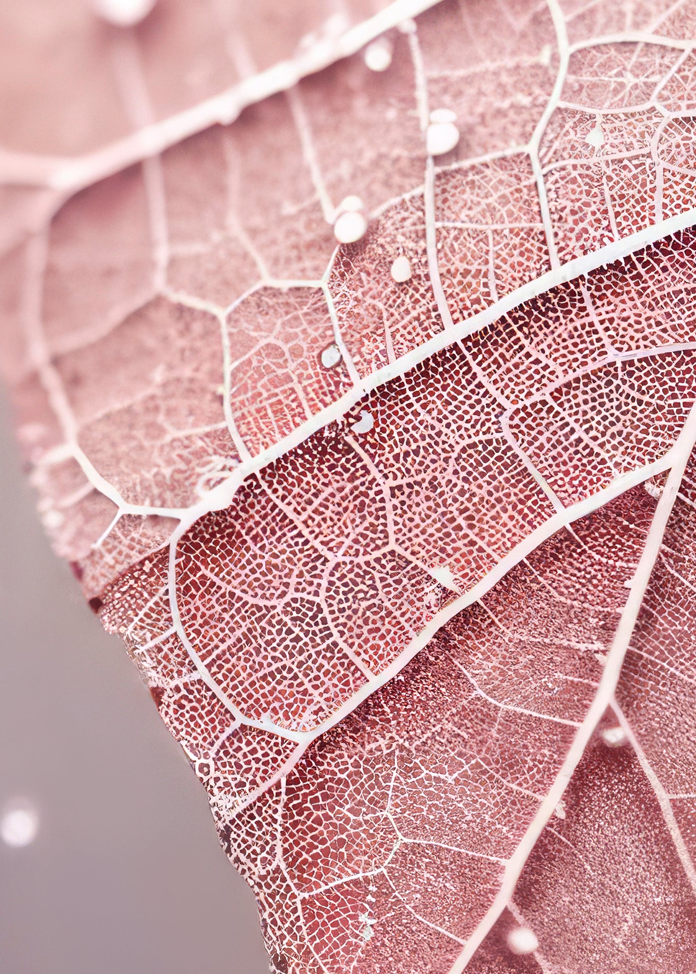 Canvastavla - Leafy Lullaby