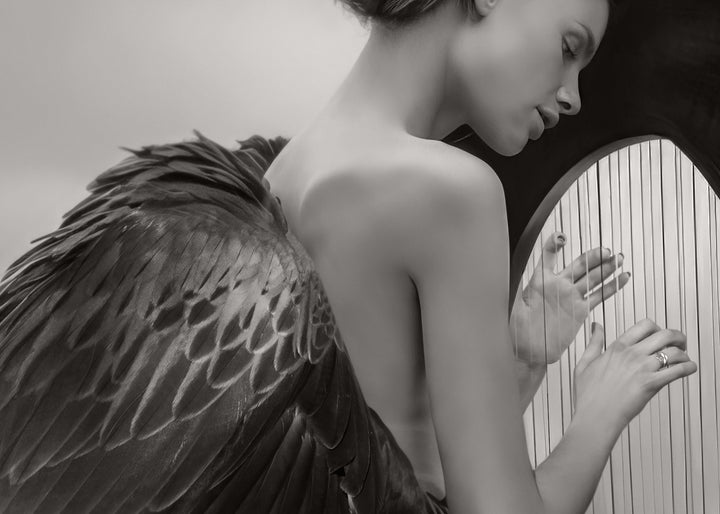 Ljuddämpande tavla - Wings of Melody
