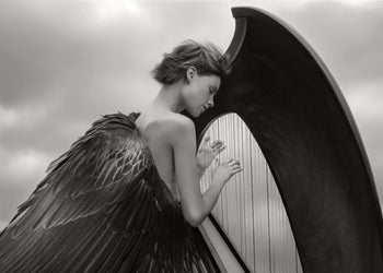 Ljuddämpande tavla - Wings of Melody