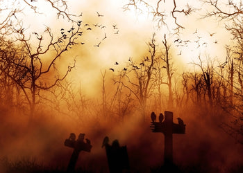 Ljuddämpande tavla - Mystic Cemetery