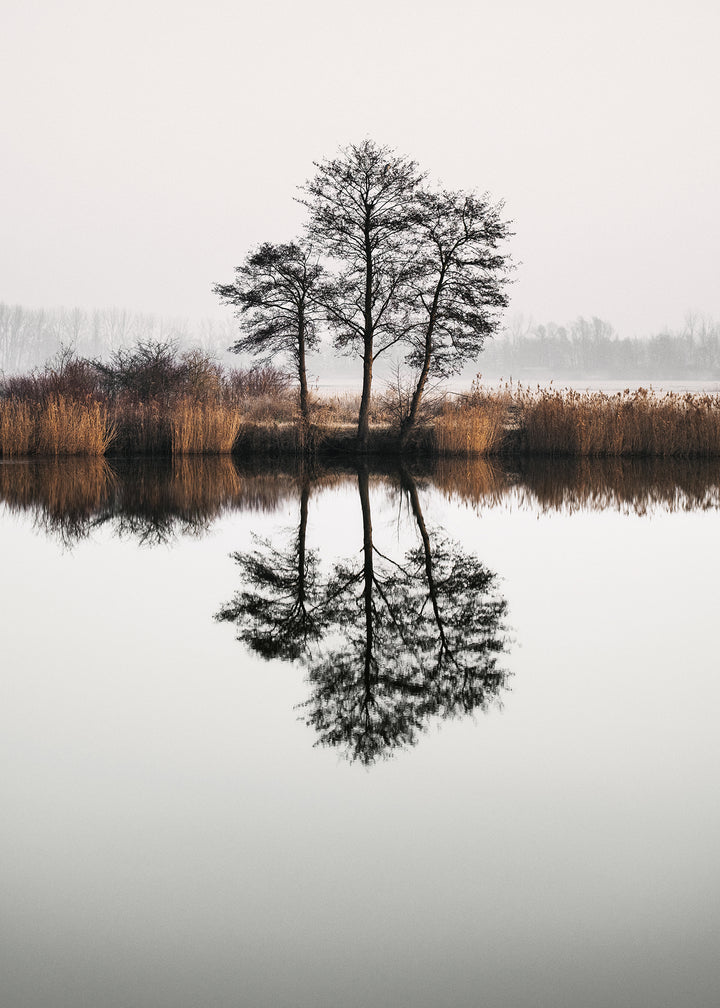 Canvastavla - Tree Lake and Reflections