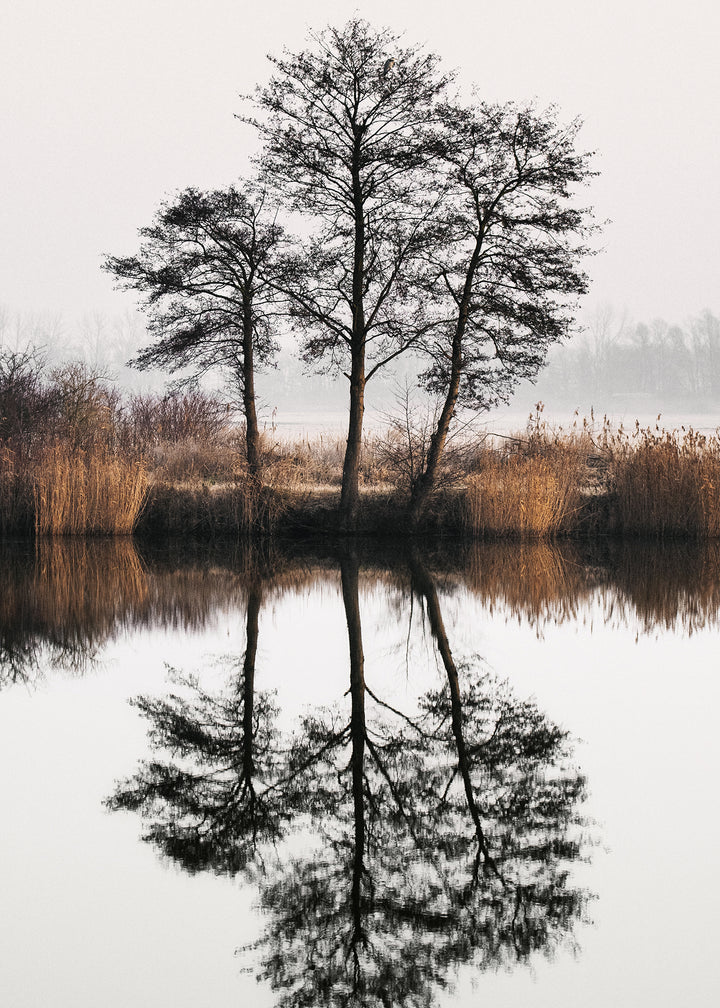 Canvastavla - Tree Lake and Reflections