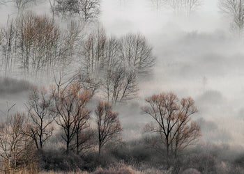Canvastavla - Foggy Morning