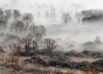 Canvastavla - Foggy Morning