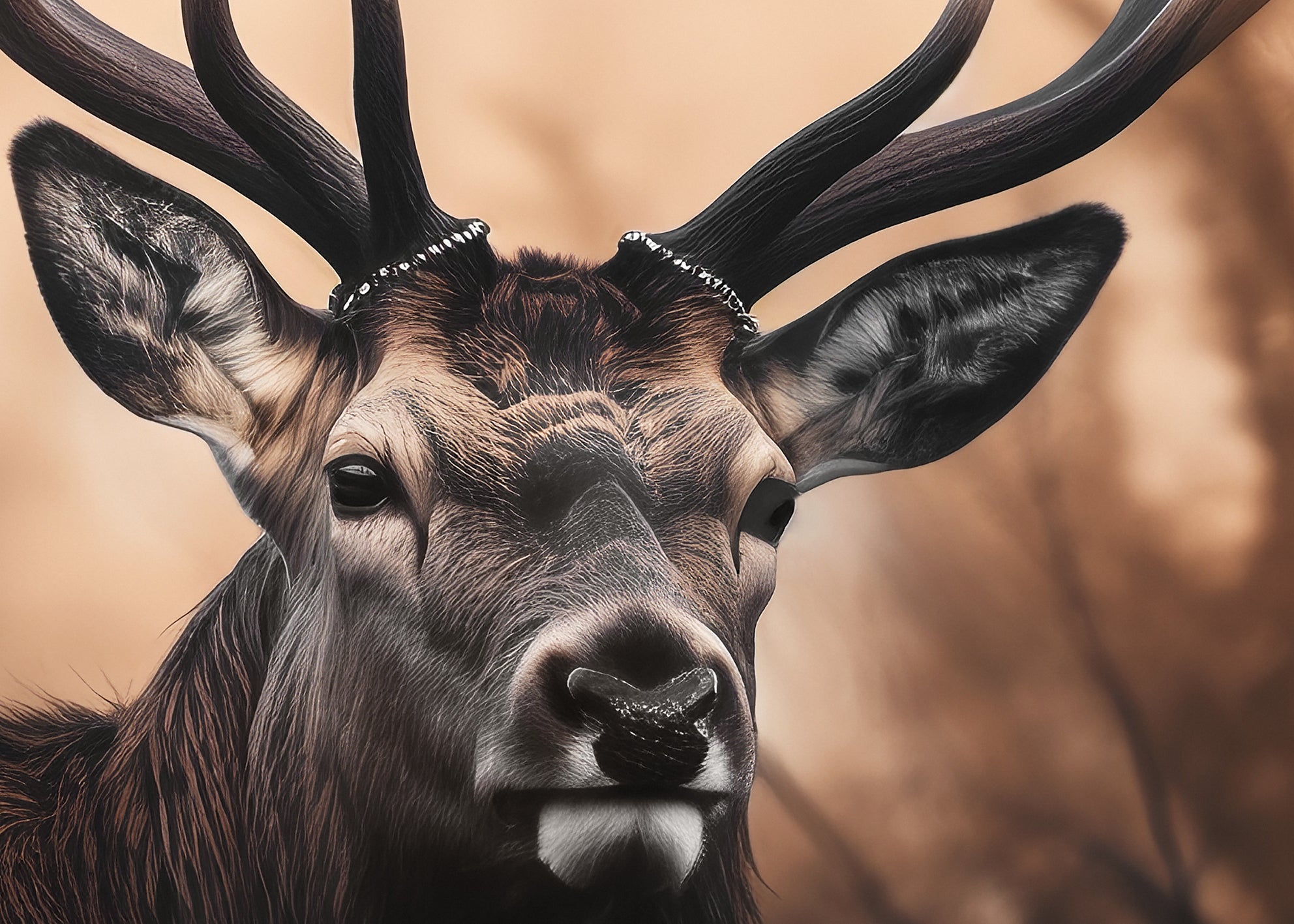 Ljuddämpande tavla - Golden Gaze Buck