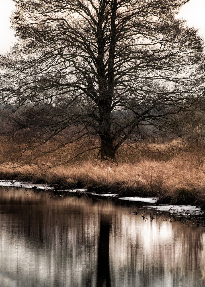 Canvastavla - Winter Scenery