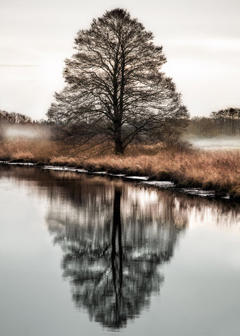 Canvastavla - Winter Scenery