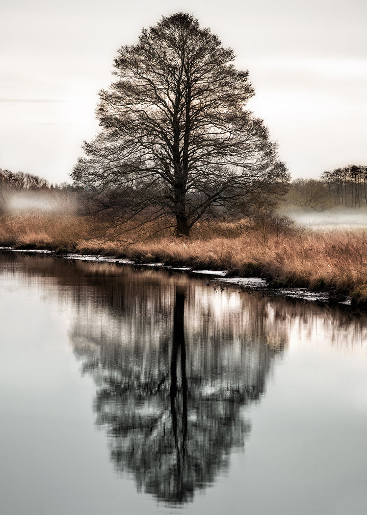 Canvastavla - Winter Scenery