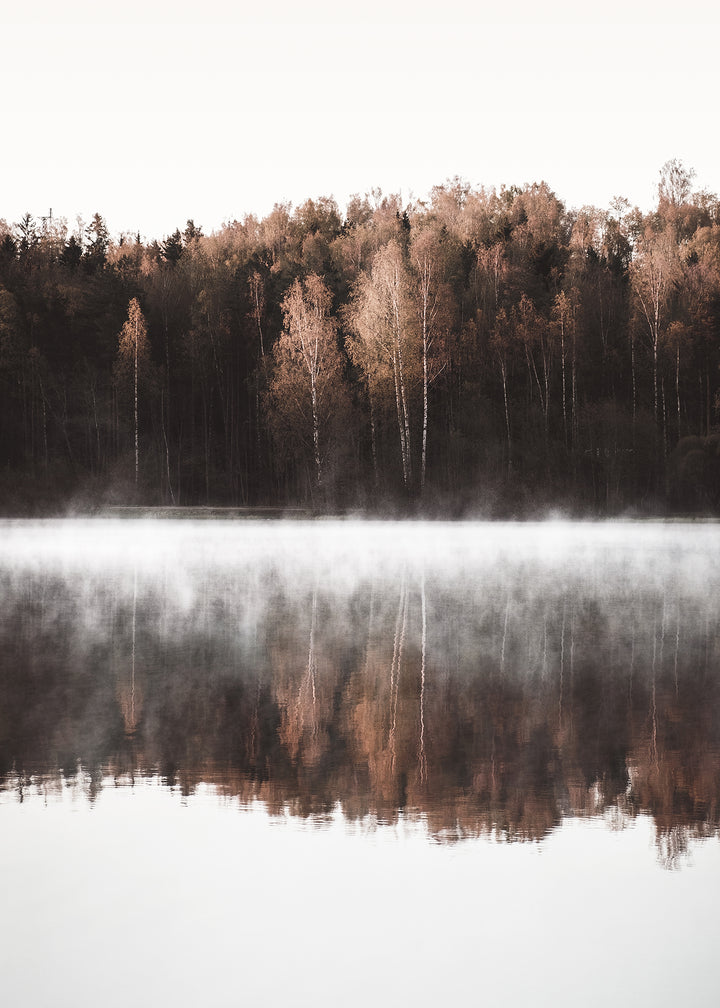 Canvastavla - Birch Trees