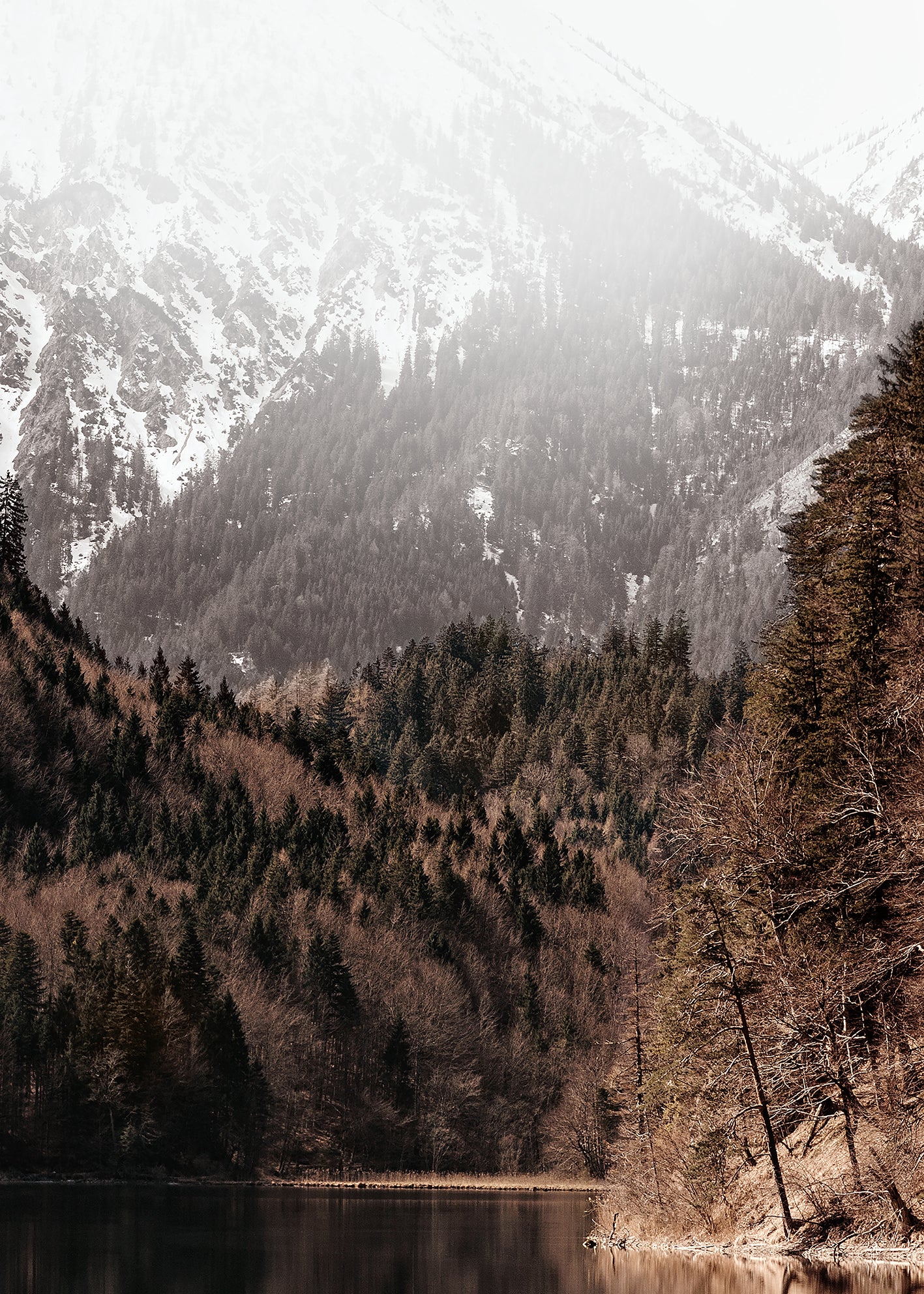 Canvastavla - Spring by Mountains