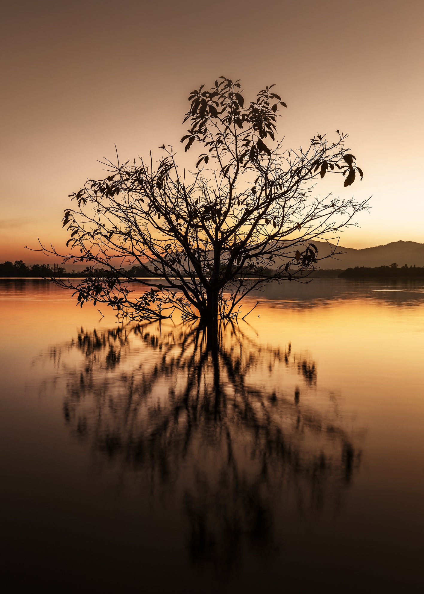 Ljuddämpande tavla - Tree Reflection