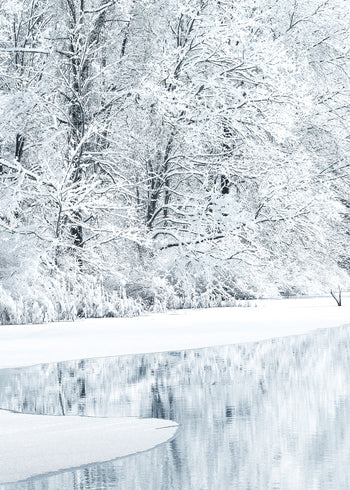 Canvastavla - Snow Covered