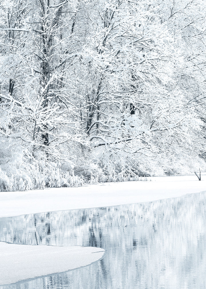 Canvastavla - Snow Covered