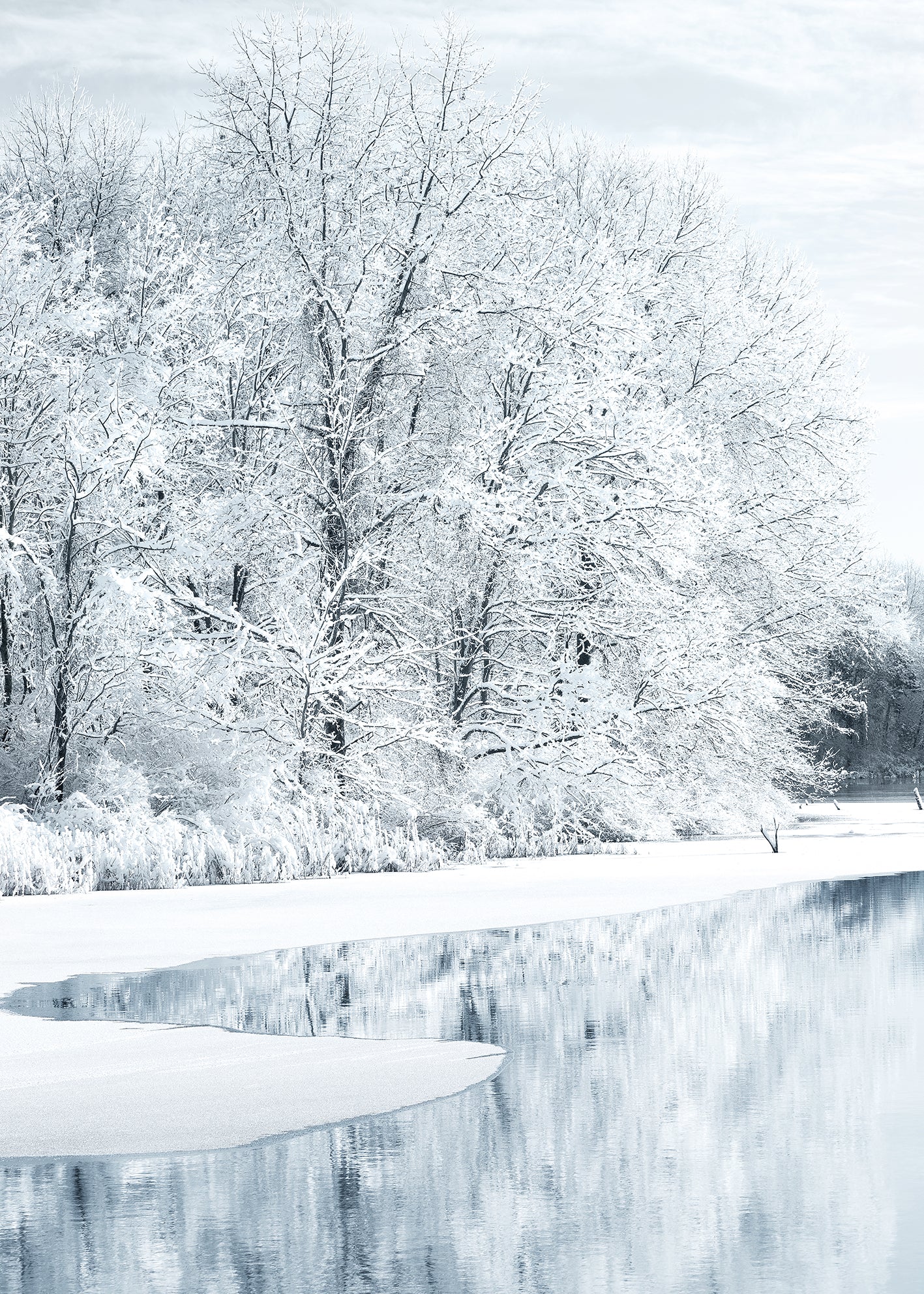 Canvastavla - Snow Covered
