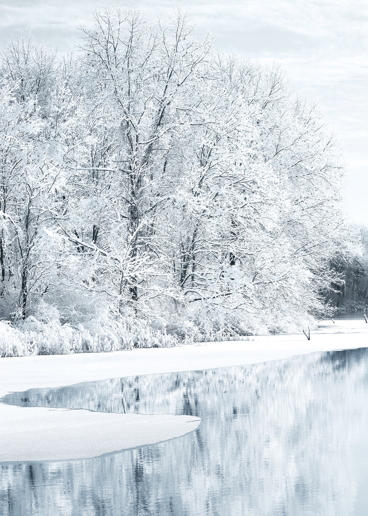 Canvastavla - Snow Covered