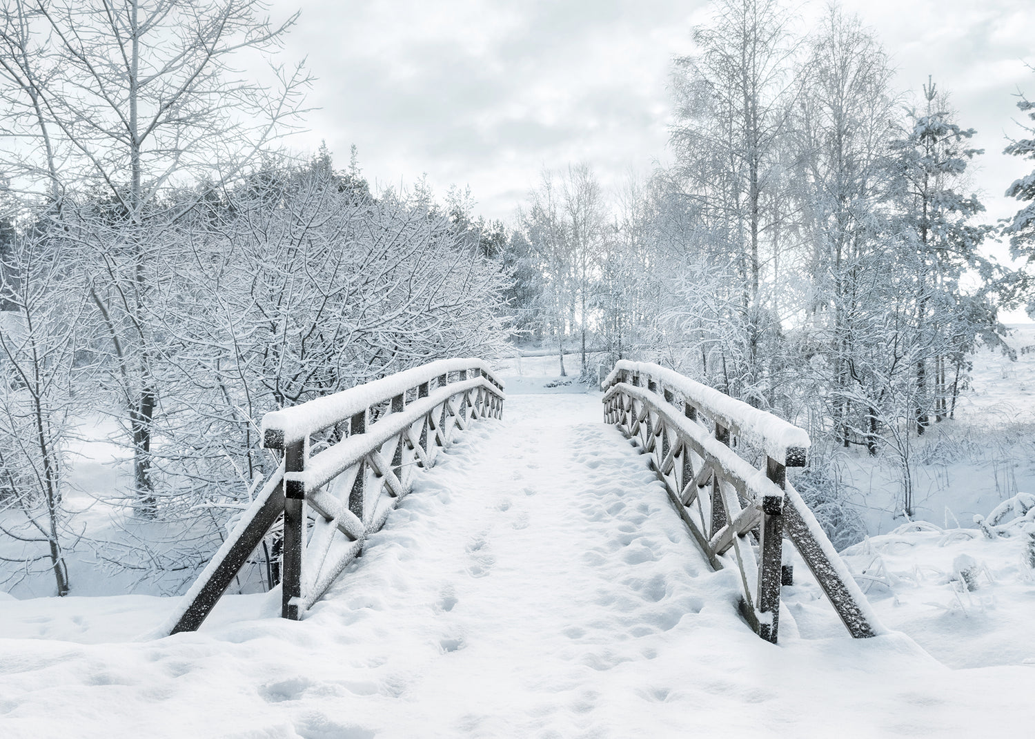 Canvastavla - Snowy Bridge