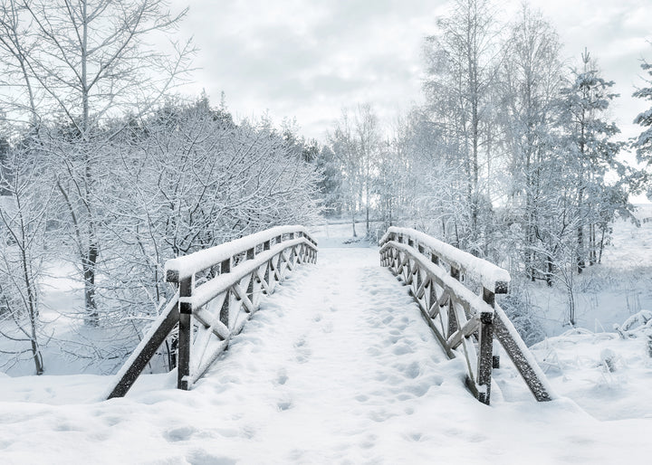 Canvastavla - Snowy Bridge
