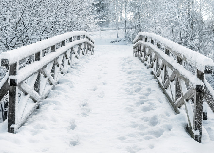Canvastavla - Snowy Bridge