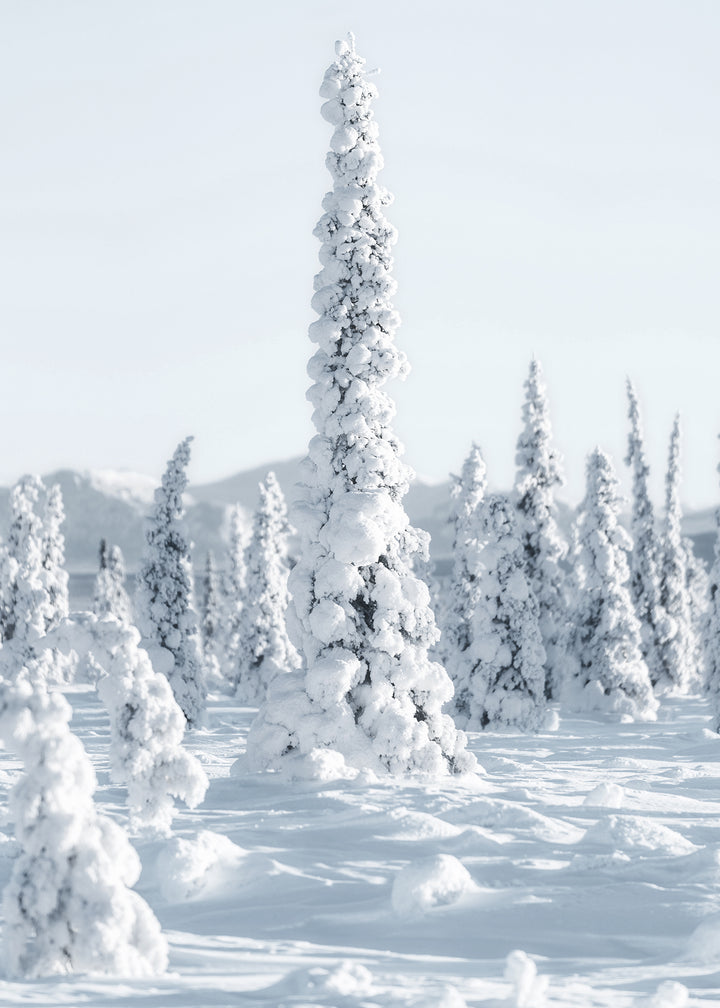 Canvastavla - Trees and Snow