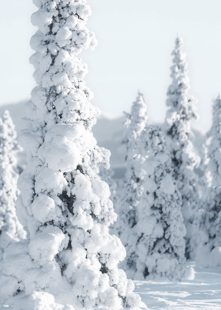 Canvastavla - Trees and Snow