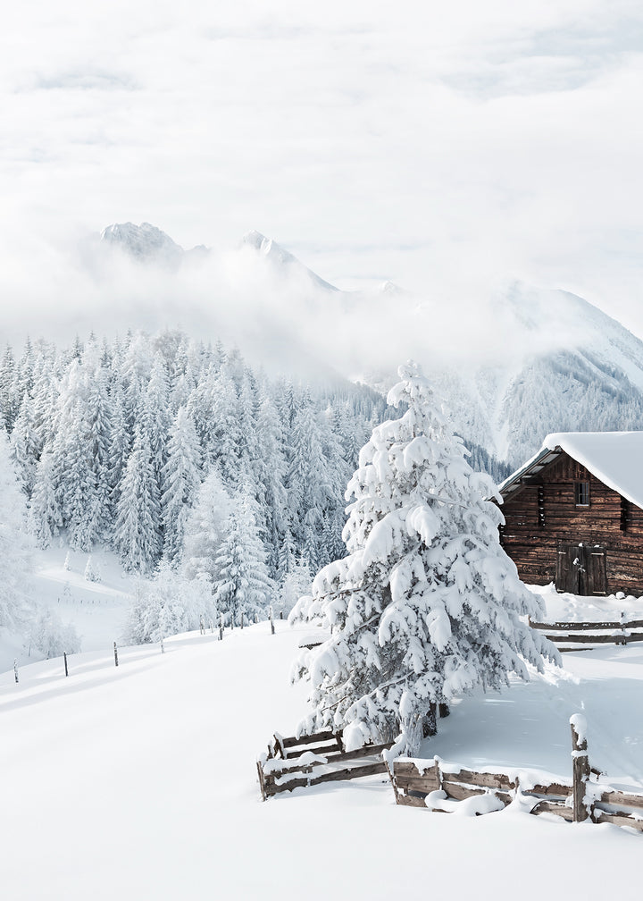 Canvastavla - Snow and Mountains
