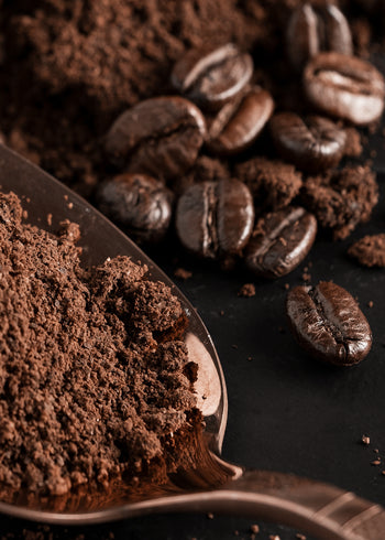 Canvastavla - Coffee Palette (100x150)