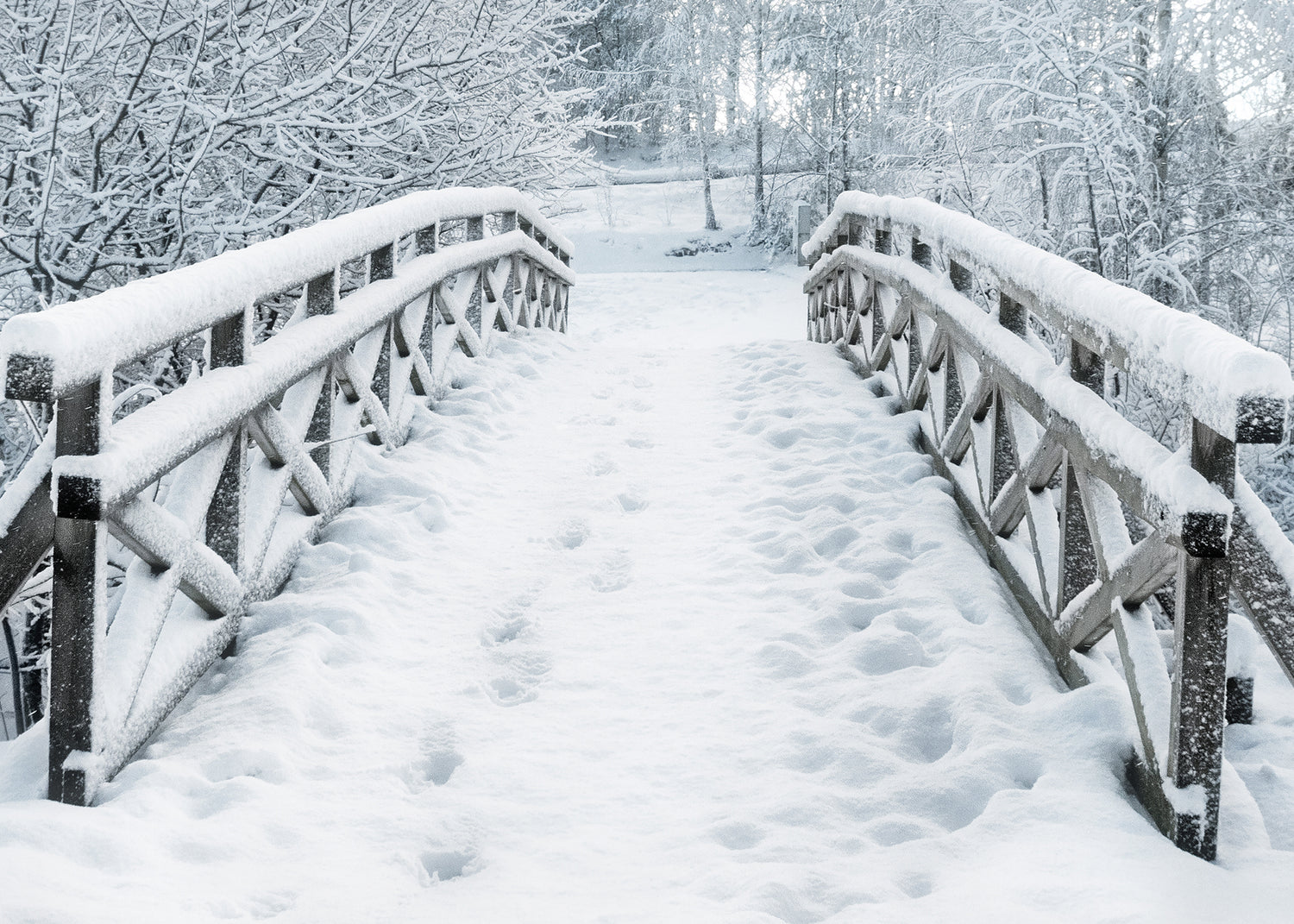 Ljuddämpande tavla - Snowy Bridge