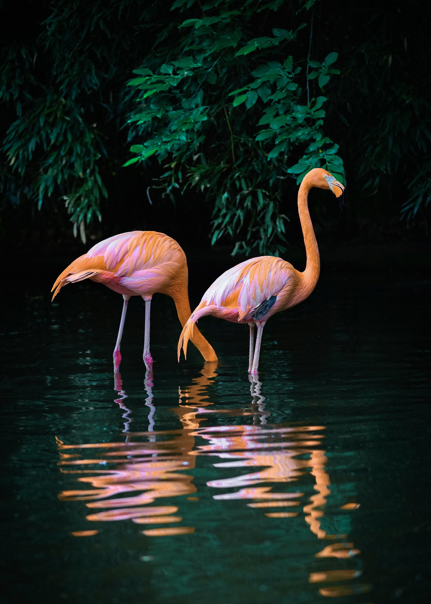 Canvastavla - Caribbean